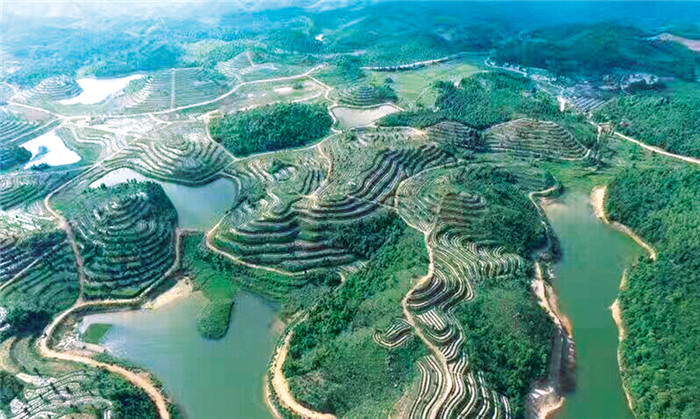 蔓斯蓝 (0)-.jpg
