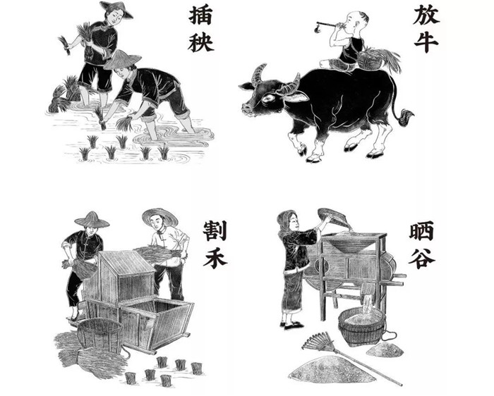 微信图片_20181106105644.jpg