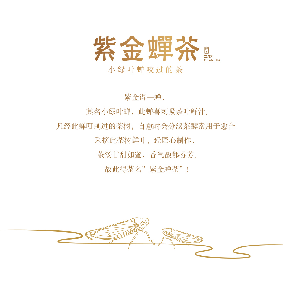 紫金蝉茶1.jpg